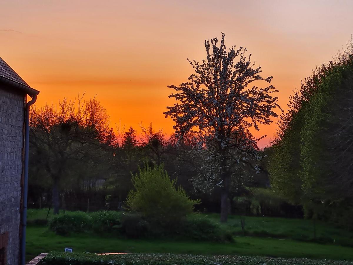 Bed and Breakfast Domaine De La Cour Vautier Mandeville-en-Bessin Exterior foto