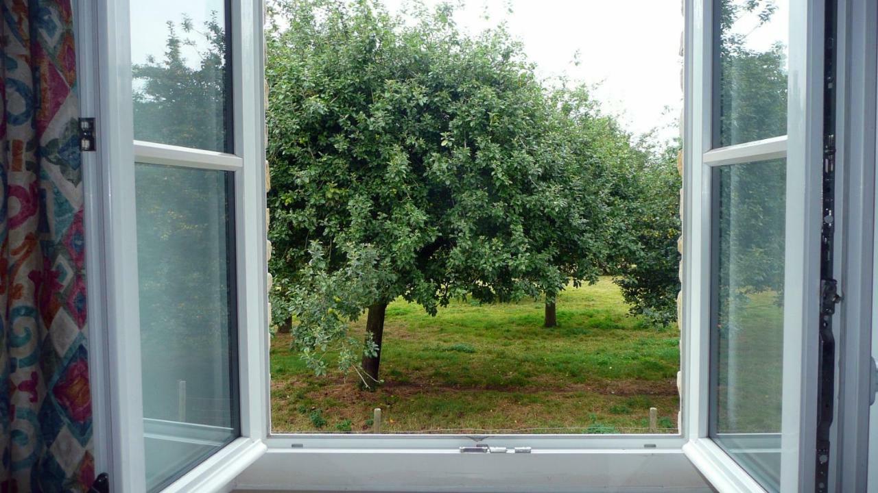 Bed and Breakfast Domaine De La Cour Vautier Mandeville-en-Bessin Exterior foto